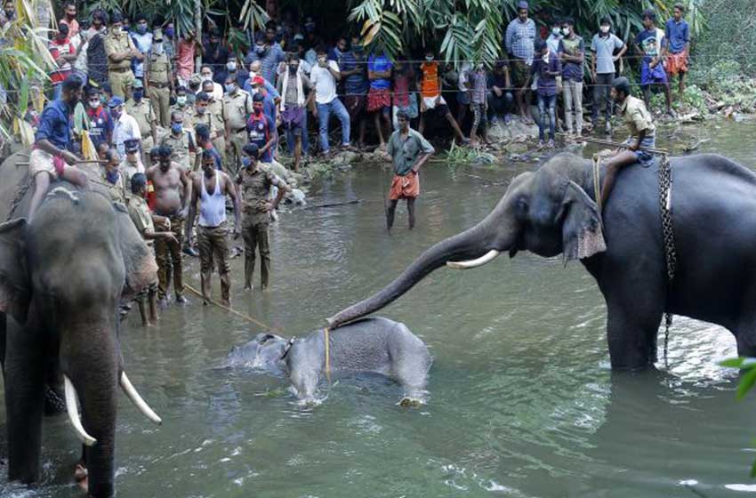 മലപ്പുറം തെറ്റിദ്ധരിപ്പിക്കപ്പെടുന്നു