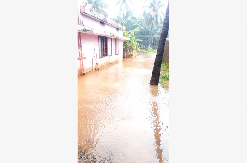 താഴ്ന്ന പ്രദേശങ്ങൾ വെള്ളത്തിൽ