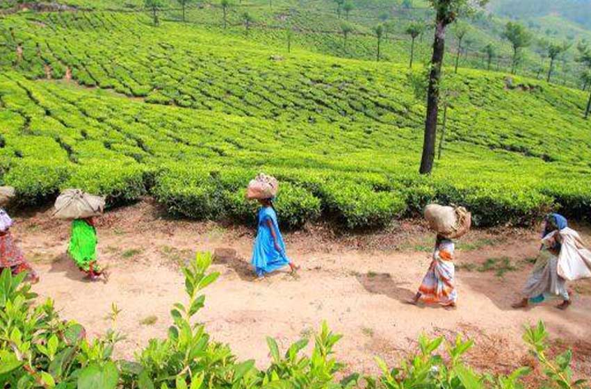 മലയോര ജനതയ്ക്ക് ഡെമോക്ലീസിന്റെ വാൾ