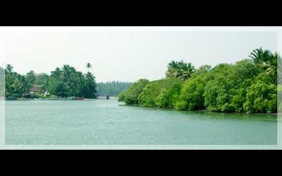 പുഴയിൽ ചാടിയ യുവാവിനെ കണ്ടെത്തിയില്ല