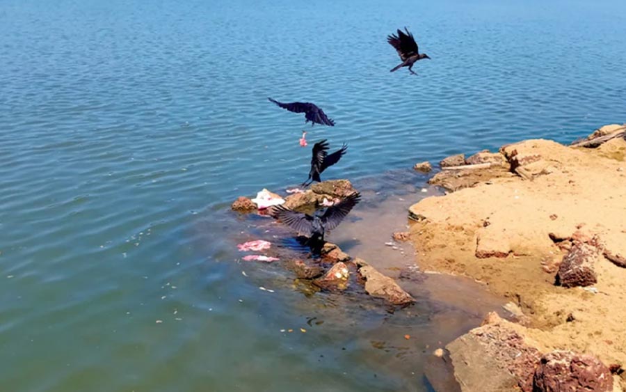 പുഴയിൽ മാലിന്യം നിക്ഷേപിച്ചതിന് കേസ്സ്