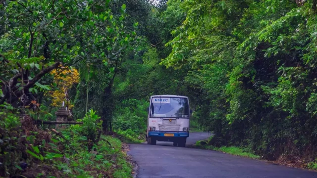 കെഎസ്ആർടിസിയുടെ നൈറ്റ് ജംഗിൾ സഫാരിക്ക് തുടക്കം; ആനവണ്ടിയുടെ രാത്രിയാത്ര വയനാട്ടിൽ