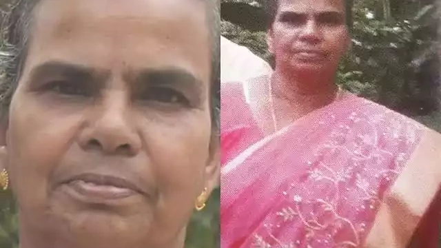 വീട്ടമ്മയെ ഗ്യാസ് തുറന്ന് വിട്ട് കൊലപ്പെടുത്തിയ കേസ്; അയല്‍വാസി അറസ്റ്റിൽ