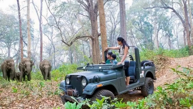 മുത്തങ്ങയിലെ ജംഗിള്‍ സഫാരി ആസ്വദിച്ച് നെതര്‍ലന്‍ഡ്സുകാരും